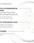 Phyto Corrective Essence Hydrating Mist