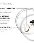 Triple Lipid Restore 242 Anti-Ageing Moisturiser