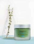Phyto Corrective Hydrating Mask